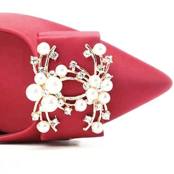 Shoes - Detachable Shoe clips